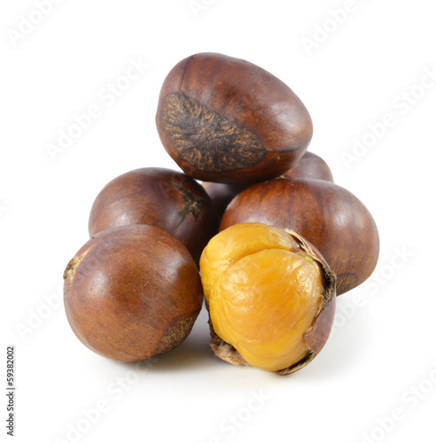 Sweet chestnut on white background