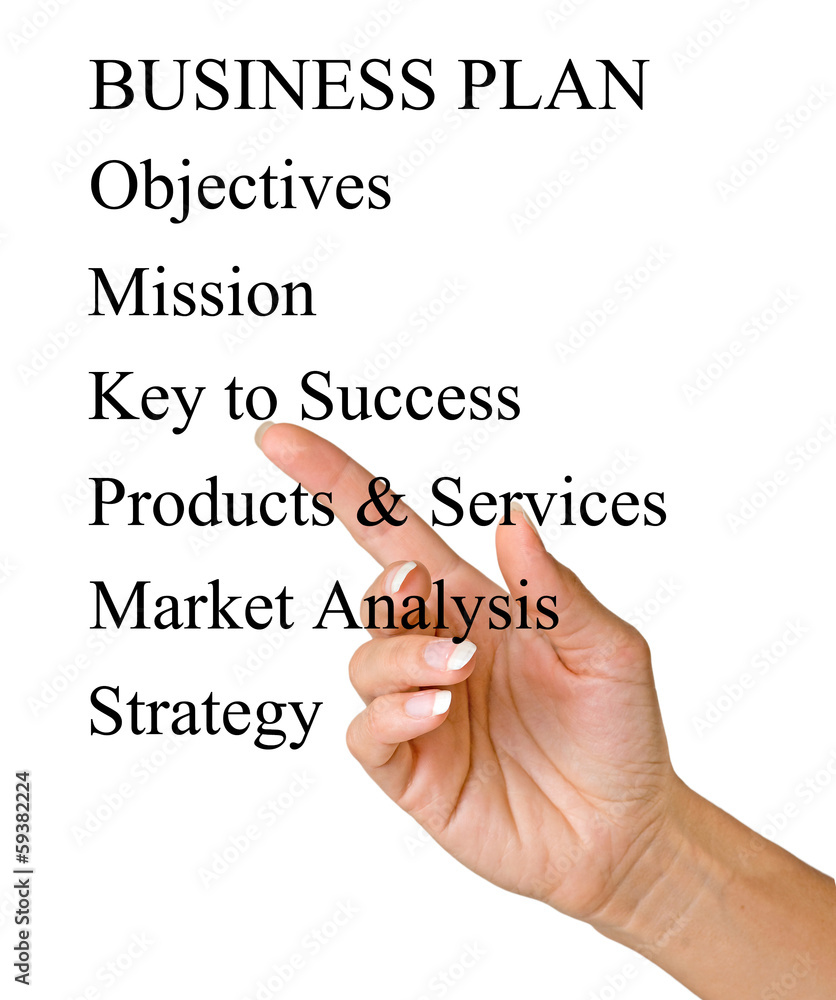 Presentation of  business plan