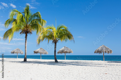 Sandstrand mit Palmen Karibik in Kuba