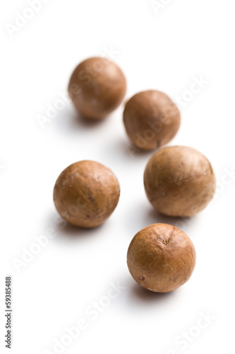 macadamia nuts