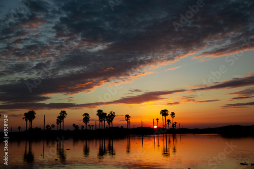 sunset on the lake manze in tanzania_national park selous photo