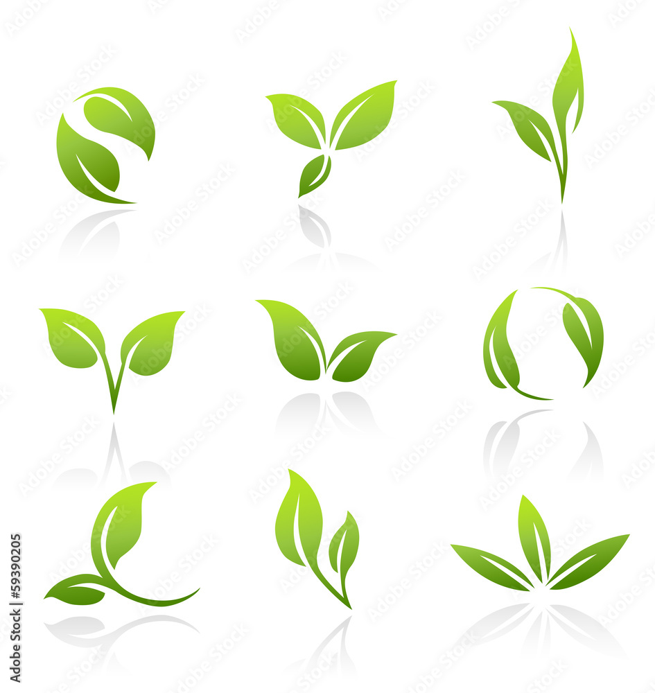 Vector Icons - Green Leaves - obrazy, fototapety, plakaty 