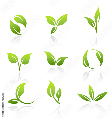 Vector Icons - Green Leaves