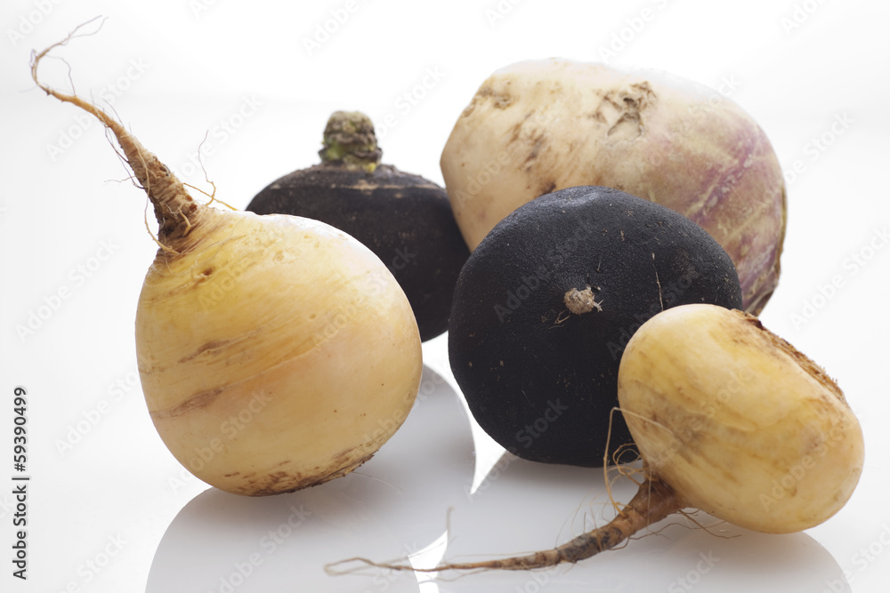 Rübenarten Stock-Foto | Adobe Stock