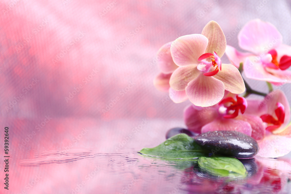 Composition with beautiful blooming orchid with water drops and Composition with beautiful blooming orchid with water drops and