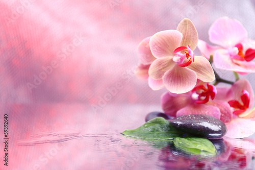 Composition with beautiful blooming orchid with water drops and