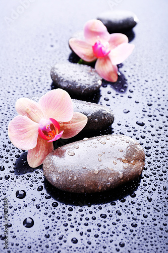 Fototapeta Naklejka Na Ścianę i Meble -  Composition with beautiful blooming orchid with water drops and