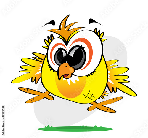 poussin