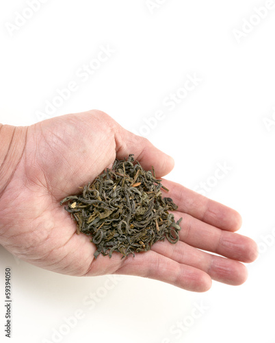 Hand offering dry green tea leaves on white background.