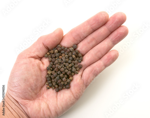 Hand offering whole peppercorn on white background.