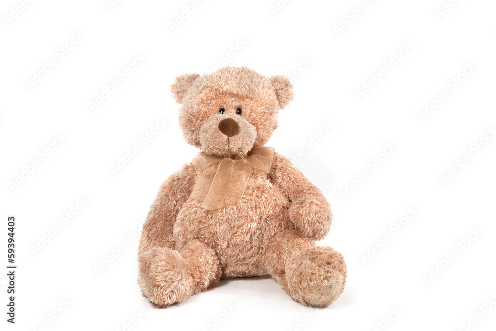 Fluffy teddy bear isolated on white