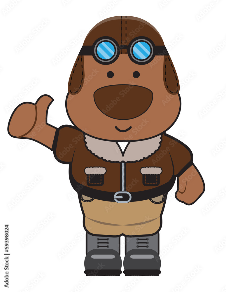 Cartoon Bear Pilot Character in Flight Jacket - Bombers Jacket