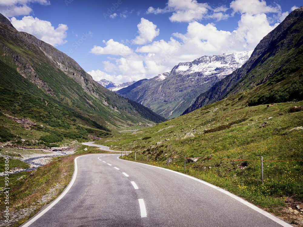 Naklejka premium country road