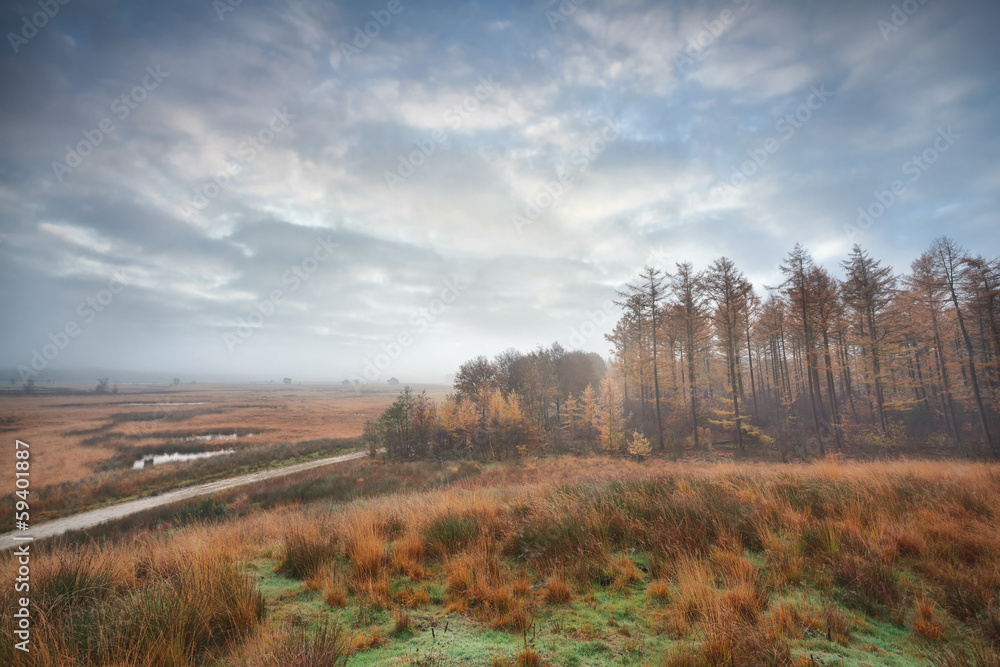 Fototapeta premium misty clouded autumn morning over swamps and forest