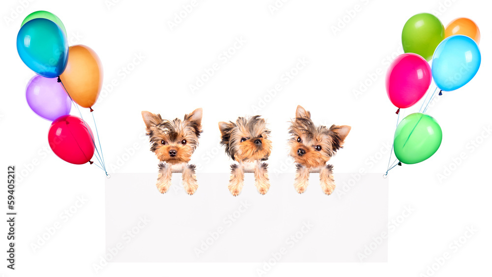 Holiday banners with balloons and dog Holiday banners with balloons and dog