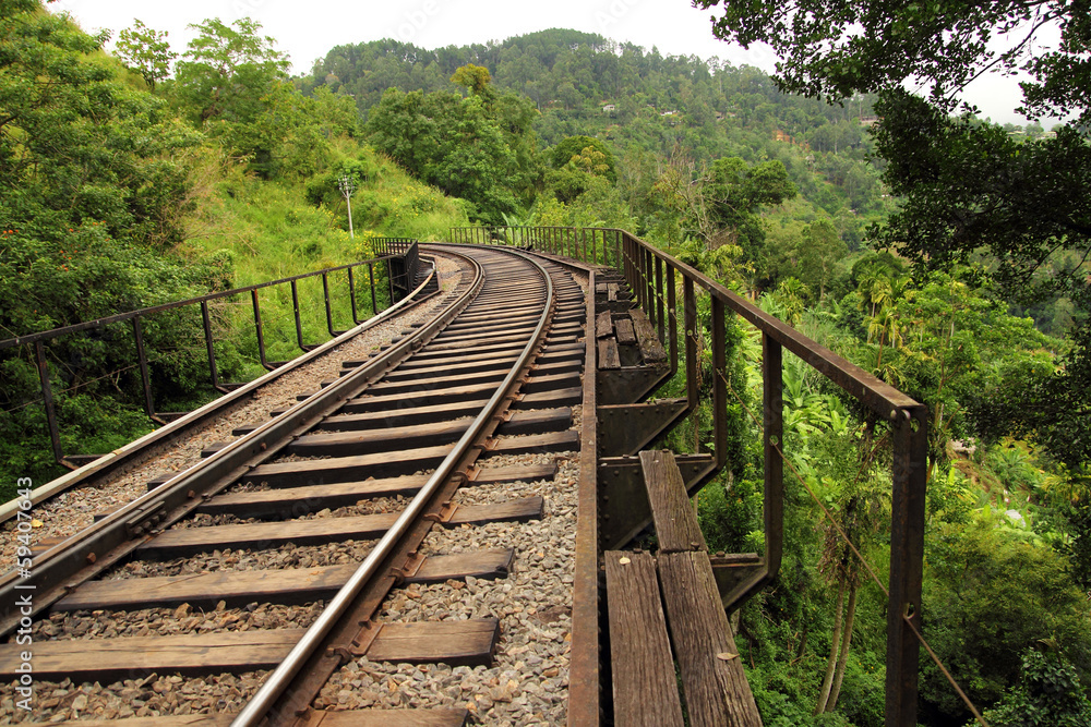 rail bridge in forest