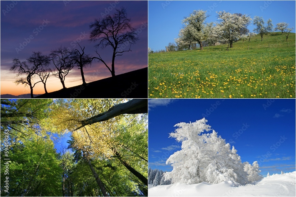 Vier Jahreszeiten - obrazy, fototapety, plakaty 