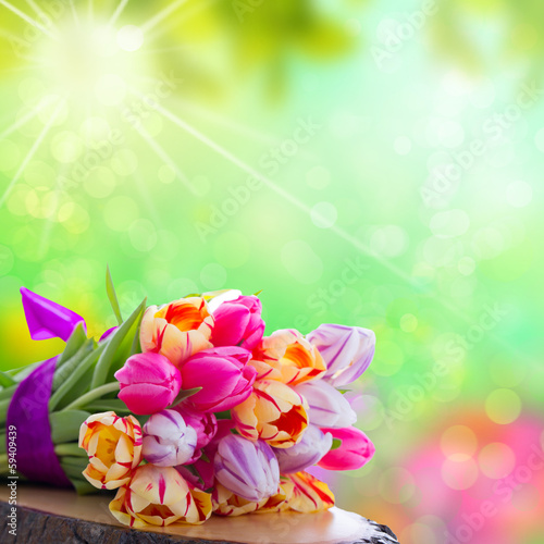 Fototapeta Naklejka Na Ścianę i Meble -  fresh spring flowers