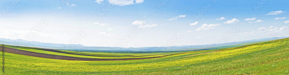 landscape near lake