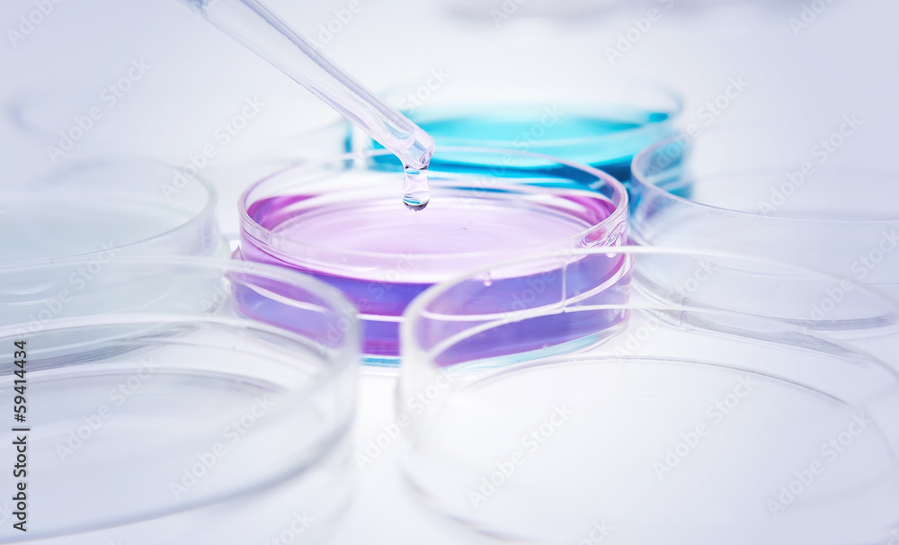 Pipette with drop of color liquid and petri dishes Pipette with drop of color liquid and petri dishes