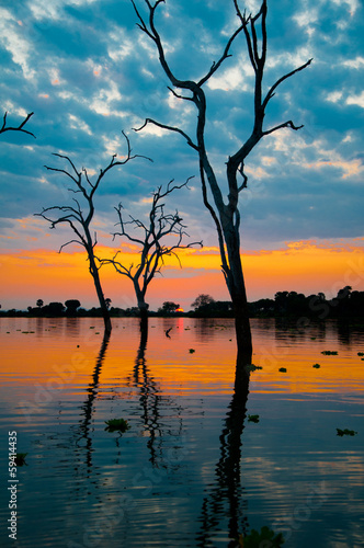 sunrise on the lake manze - national park selous game reserve