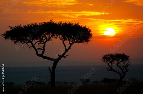 sunset in africa - national park masai mara in kenya © Alexandra Giese