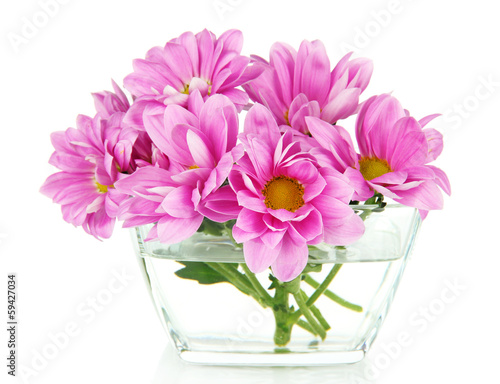 Wallpaper Mural Beautiful flowers in bowl isolated on white Torontodigital.ca