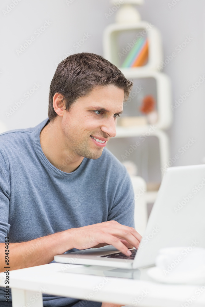 Smiling young man using laptop in living room Smiling young man using laptop in living room