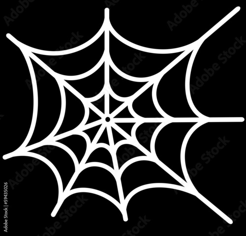 spider net vector