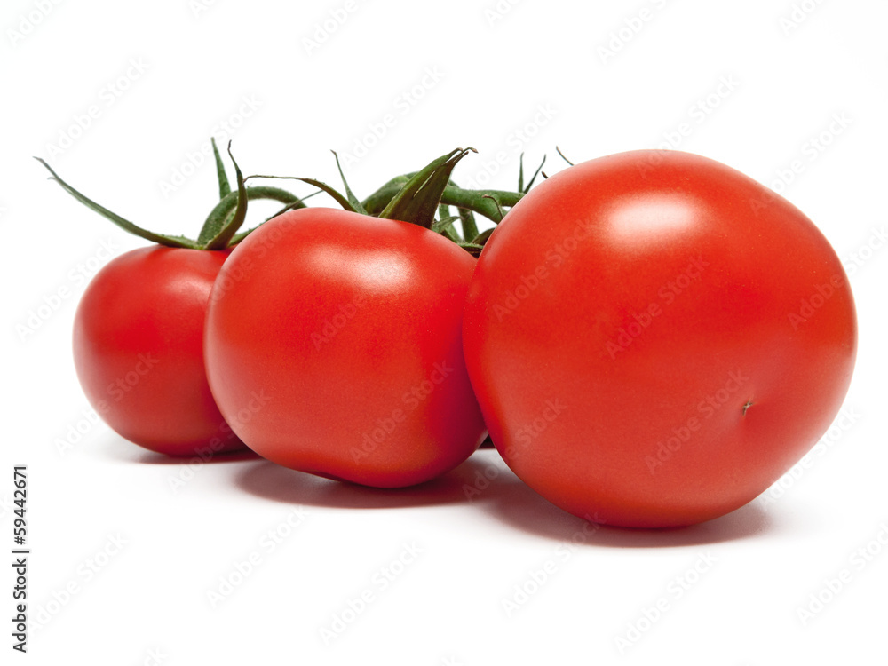 Strauchtomaten Strauchtomaten