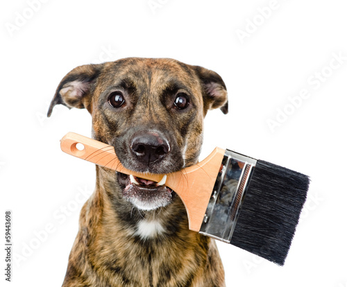 dog with paint brush. isolated on white background