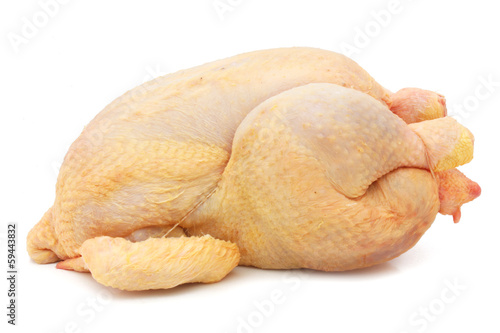 Fresh chicken - fresh hen  photo