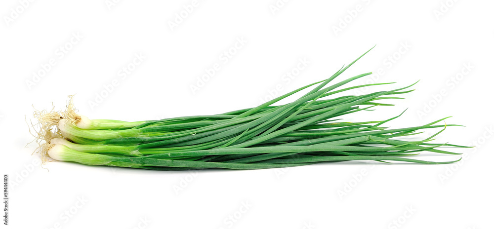 spring onions on a white background. spring onions on a white background.