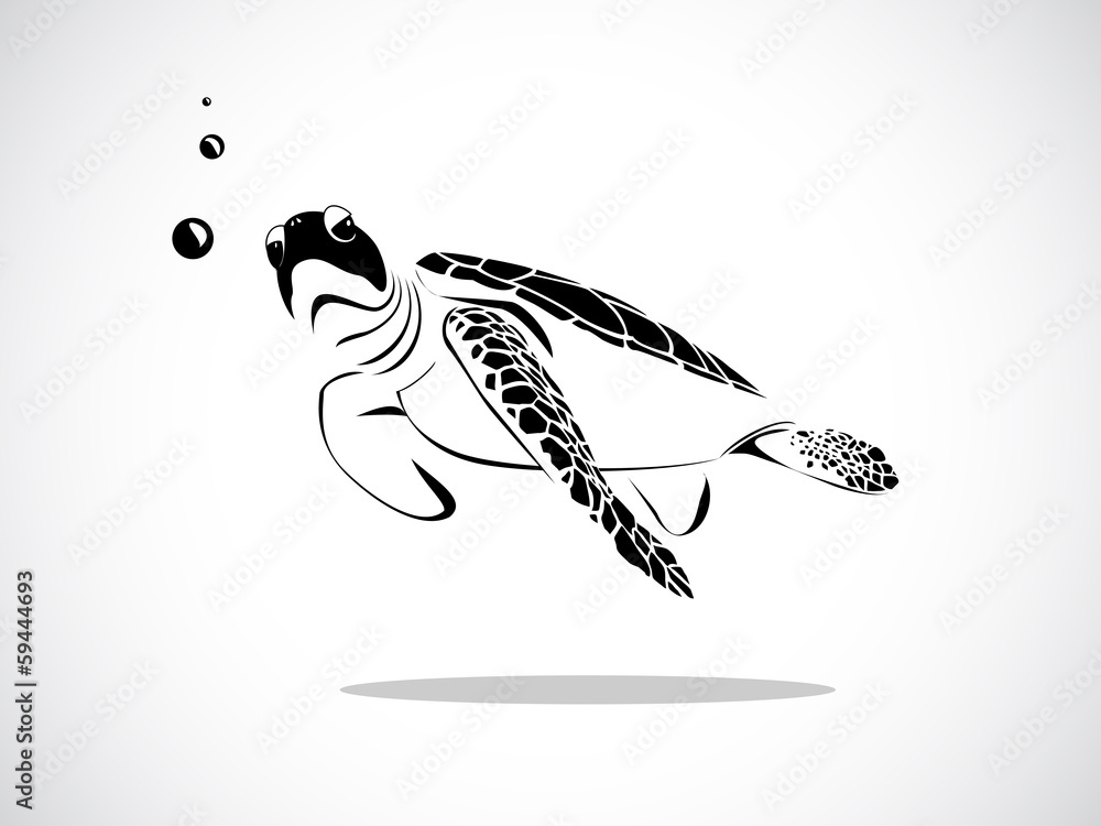 Obraz premium turtle