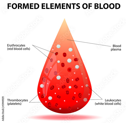 A drop of blood