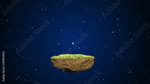 Plant Your Wishes