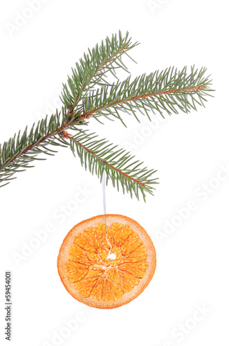 Pine branch with dried orange slice isolated photo