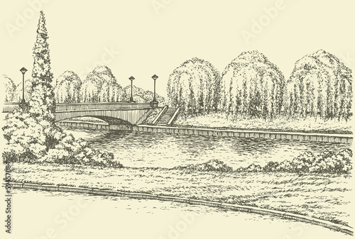 Vector landscape. Park trees at the river bridge and lanterns