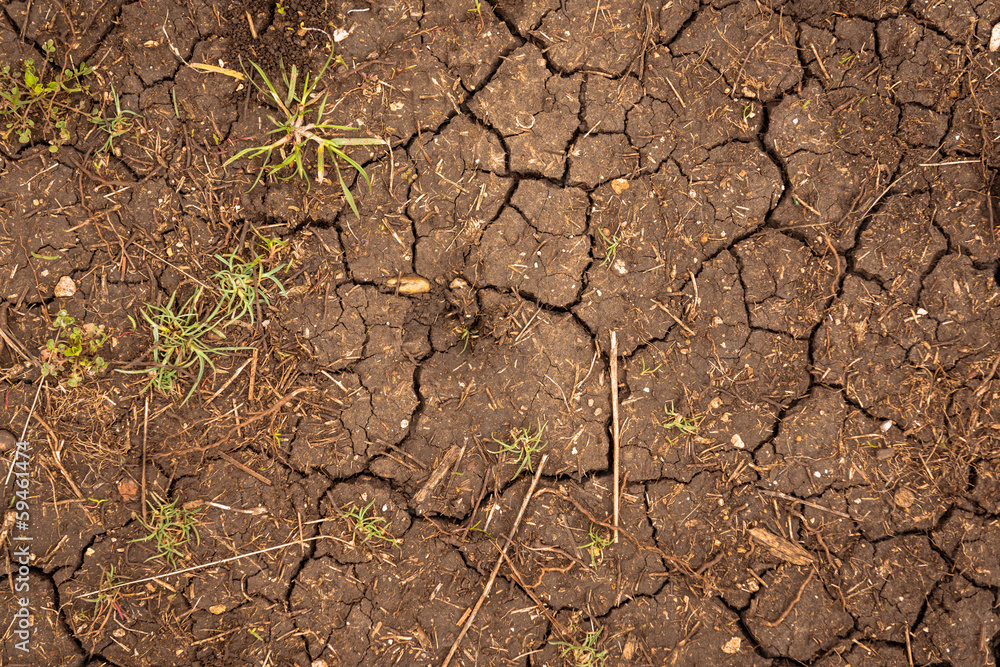 Fototapeta premium Closeup of dry soil texture