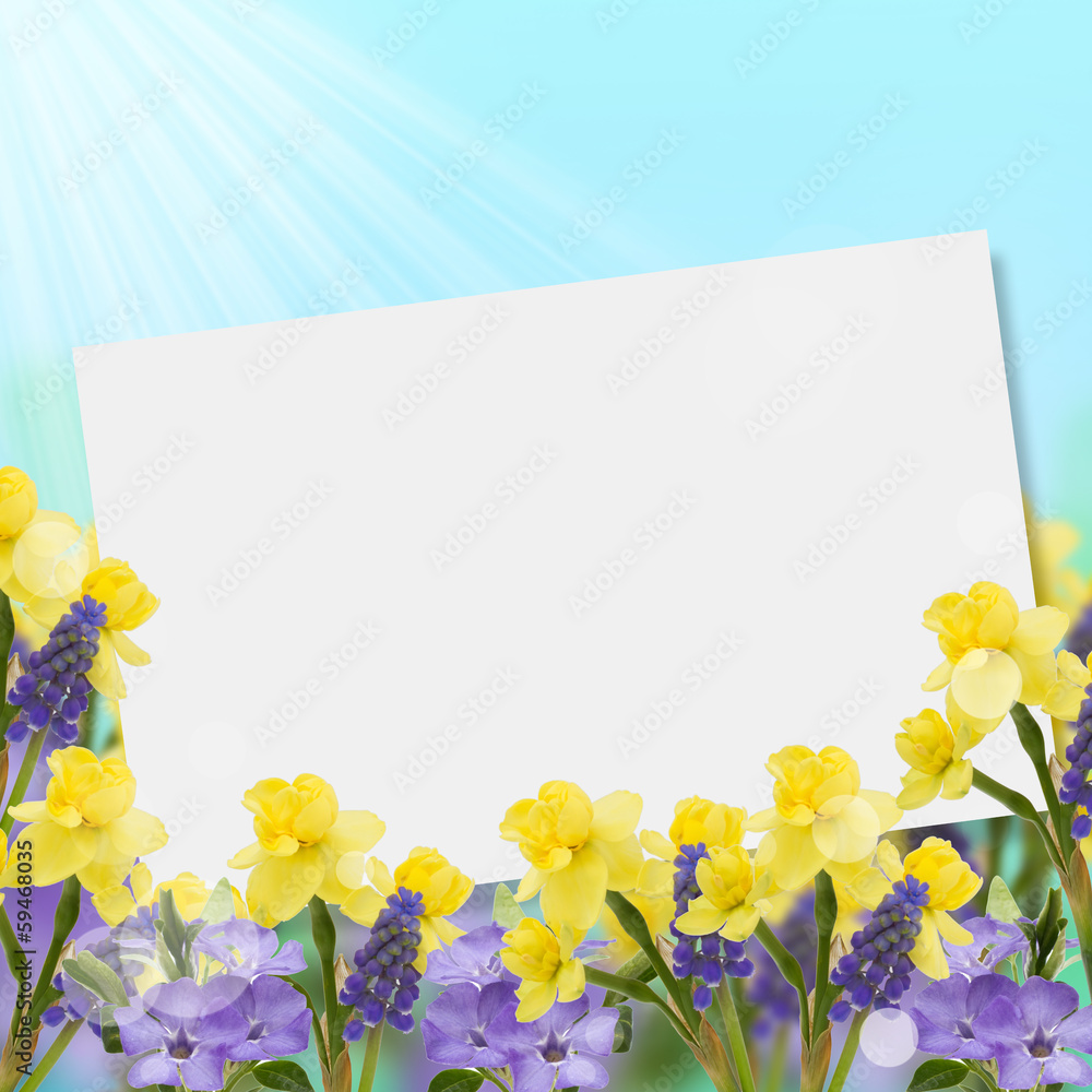 Postcard with fresh flowers and empty place for your text Postcard with fresh flowers and empty place for your text