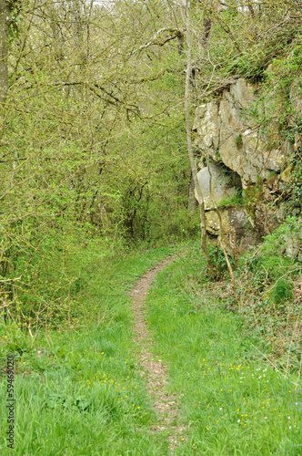 Sarthe, picturesque landscape in Saint georges le gaultier photo