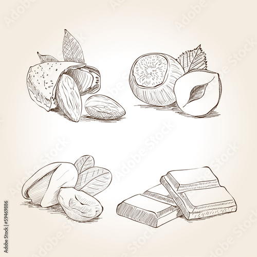 Nuts and Chocolate Illustration