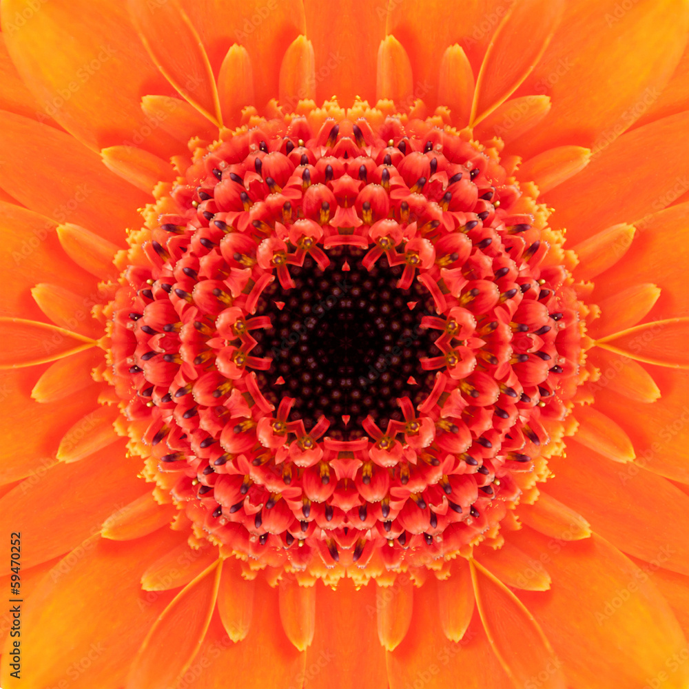 Orange Concentric Flower Center. Mandala Kaleidoscopic design