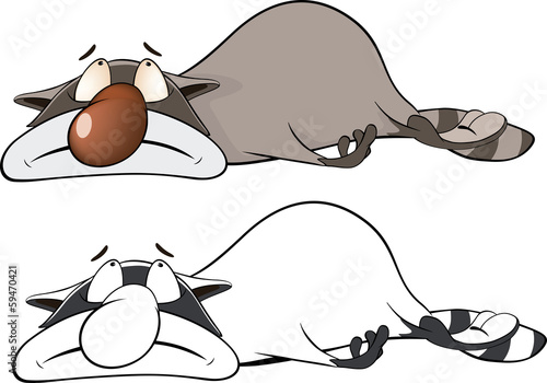Raccoon. Cartoon