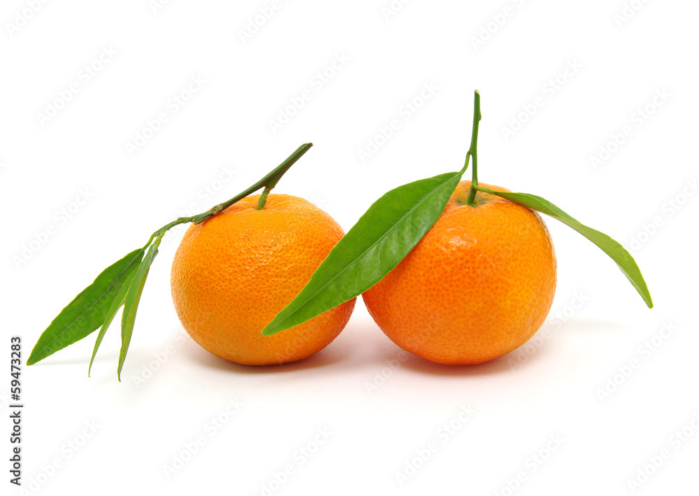 tangerine tangerine