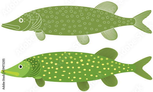 Pike