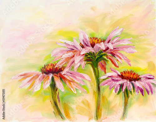 Echinacea, oil painting