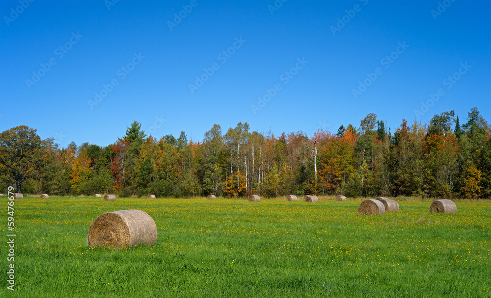 Hay bales in Maine field