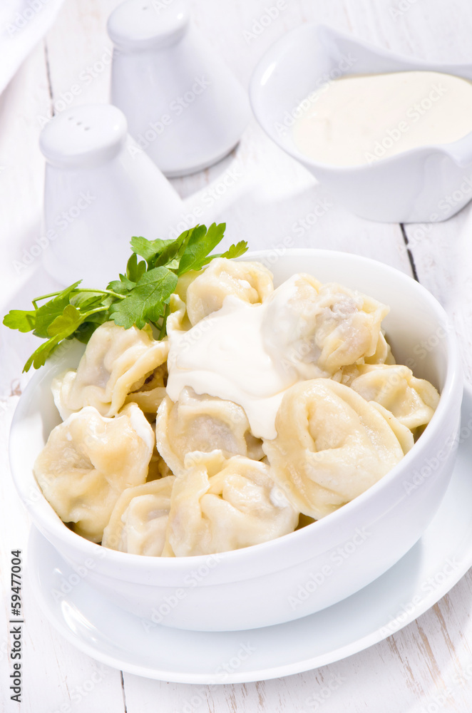 Meat Dumplings Meat Dumplings