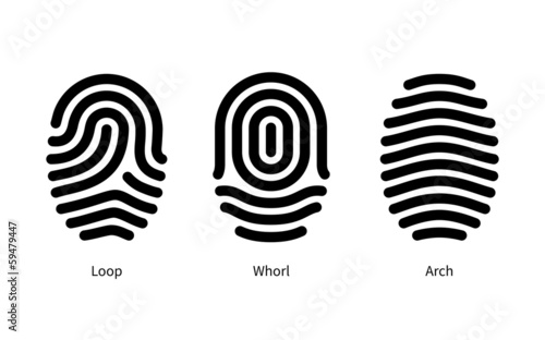 Fingerprint id types on white background.